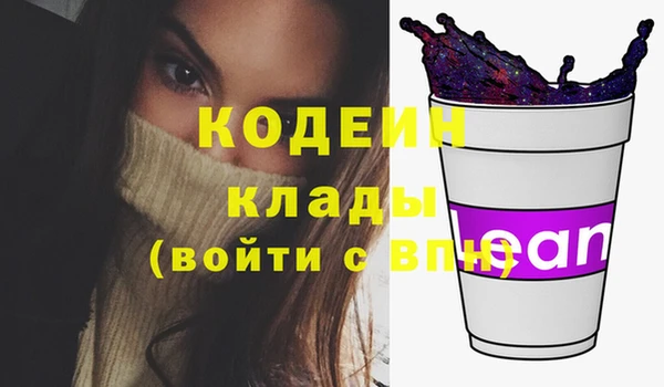 хмурый Абаза
