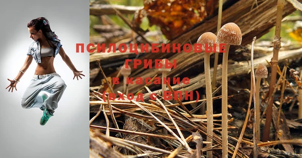 не бодяженный Абдулино