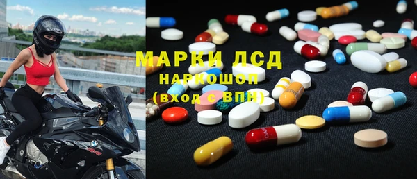 хмурый Абаза