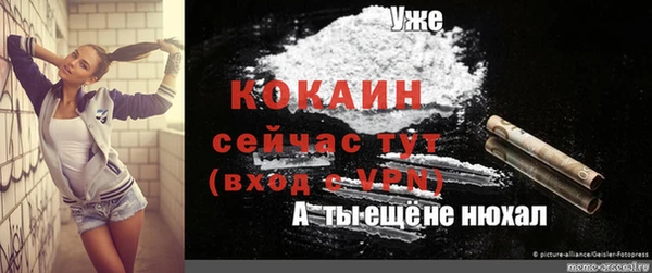 хмурый Абаза