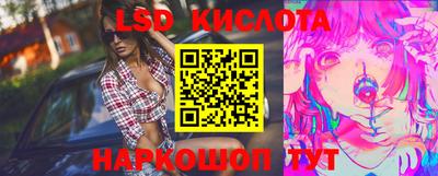 эйфоретик Новозыбков