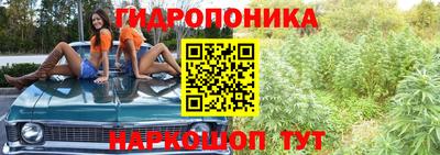 МДМА Новодвинск